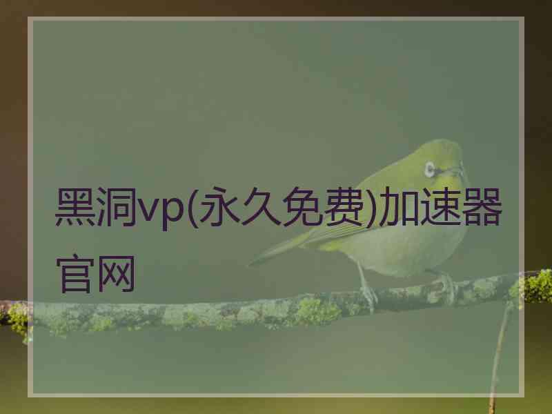 黑洞vp(永久免费)加速器官网