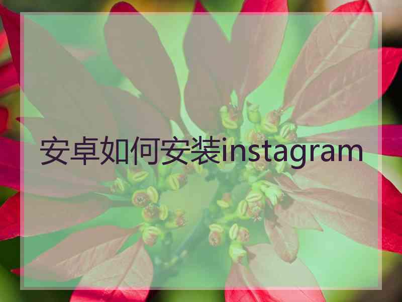 安卓如何安装instagram