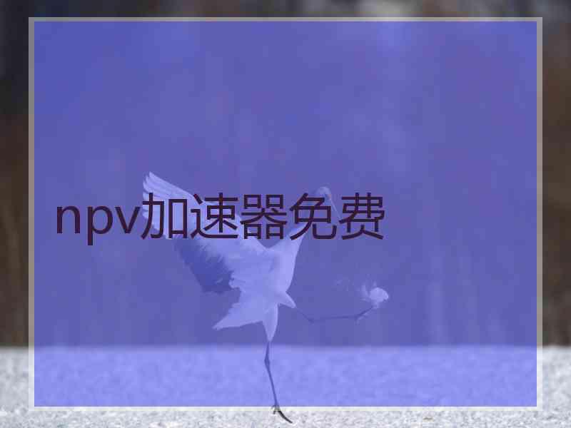 npv加速器免费