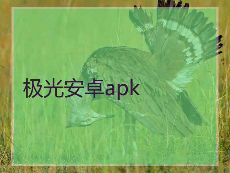 极光安卓apk