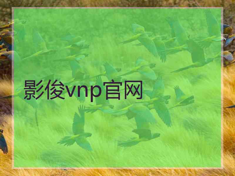 影俊vnp官网