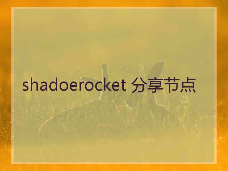 shadoerocket 分享节点