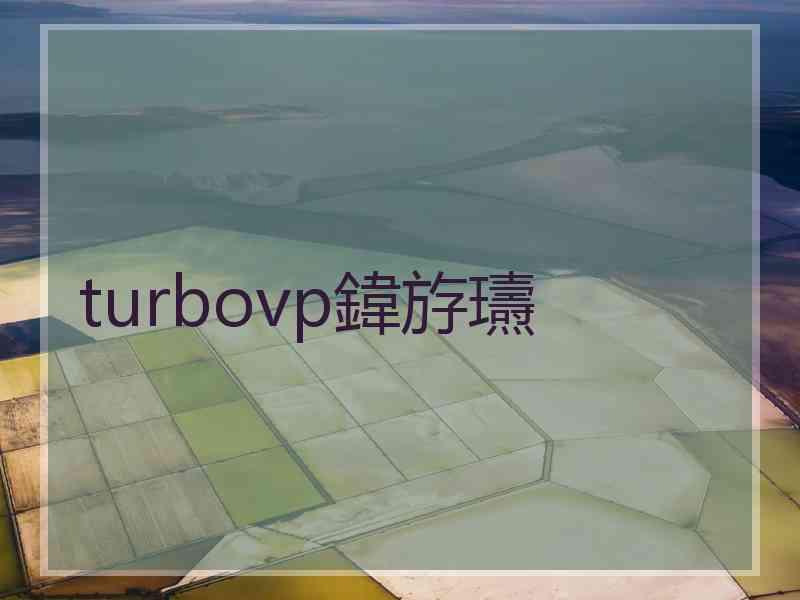 turbovp鍏斿瓙