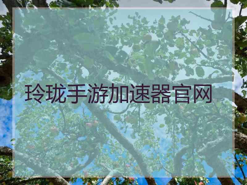 玲珑手游加速器官网