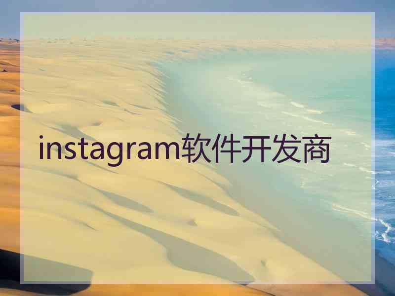 instagram软件开发商