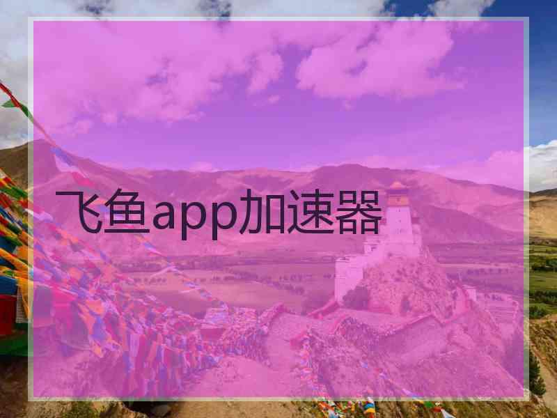 飞鱼app加速器