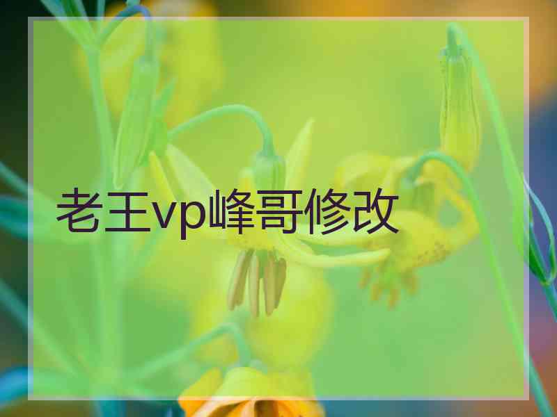 老王vp峰哥修改