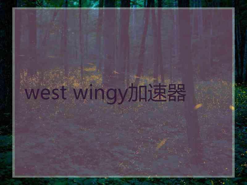 west wingy加速器