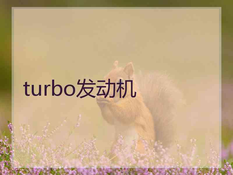 turbo发动机