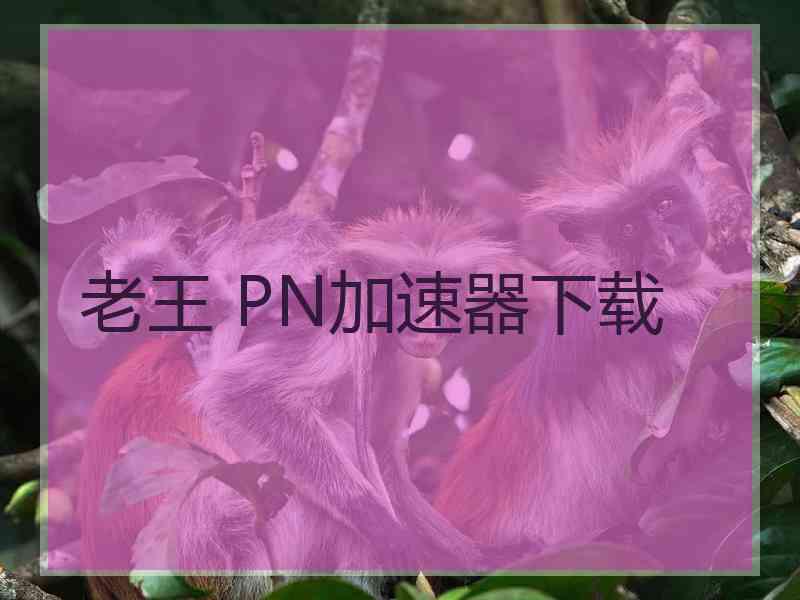 老王 PN加速器下载