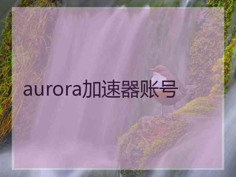 aurora加速器账号