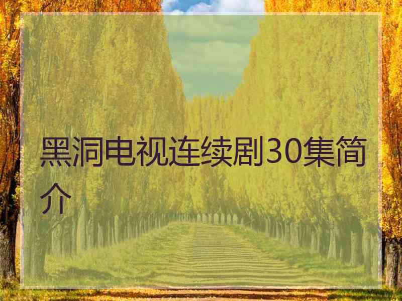 黑洞电视连续剧30集简介