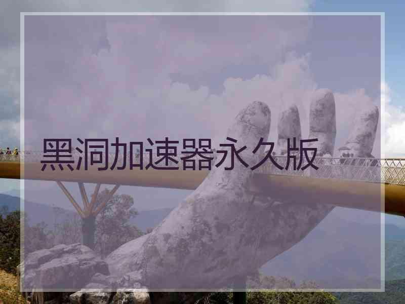 黑洞加速器永久版