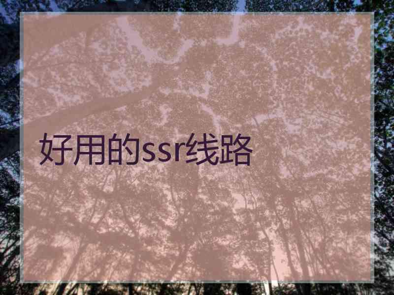 好用的ssr线路