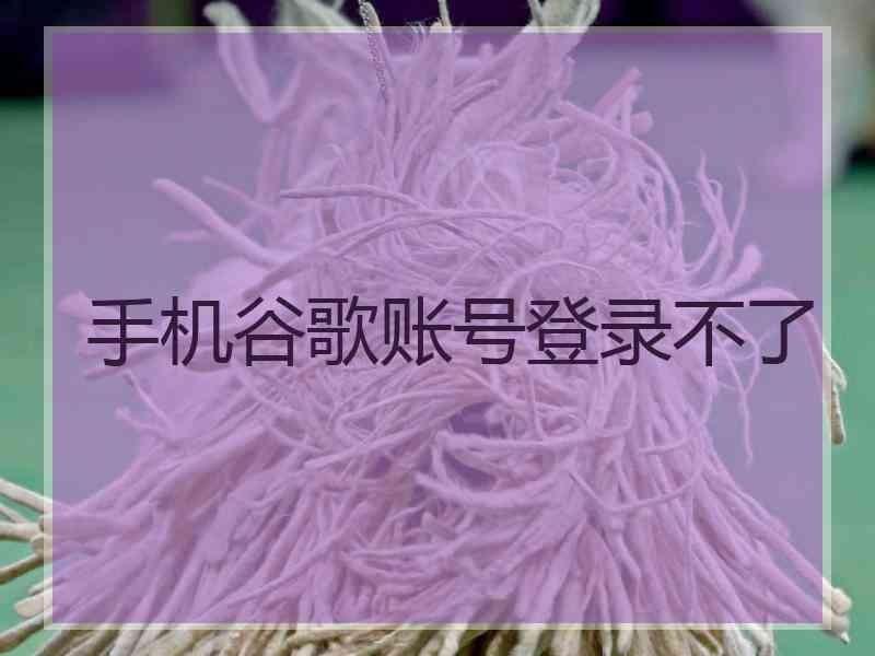 手机谷歌账号登录不了