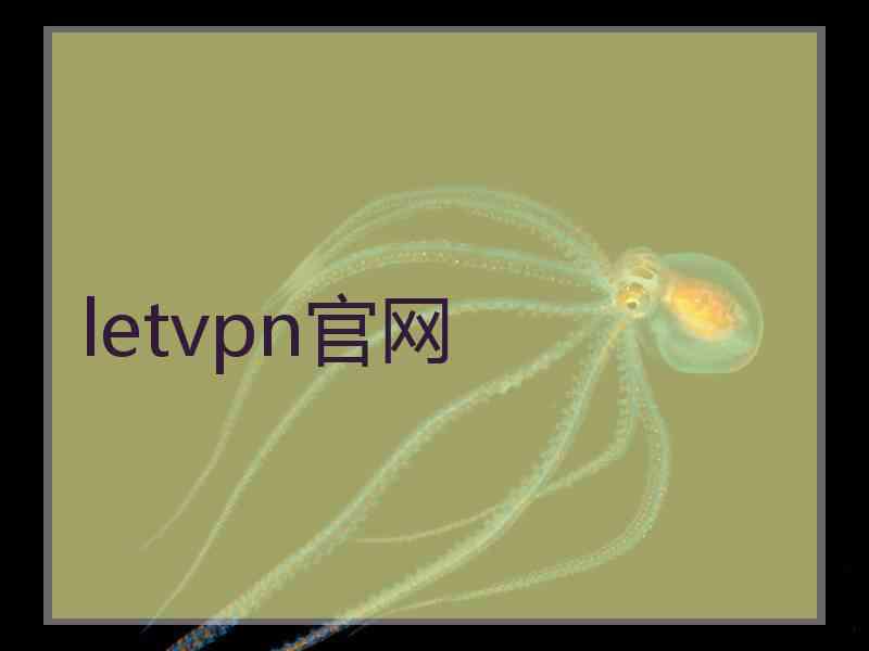 letvpn官网