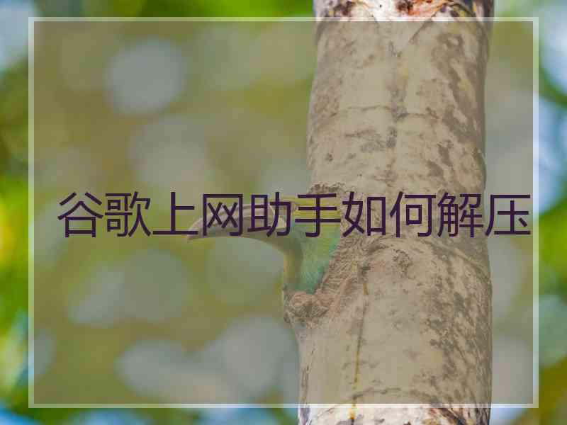 谷歌上网助手如何解压