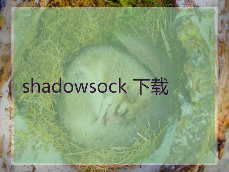 shadowsock 下载