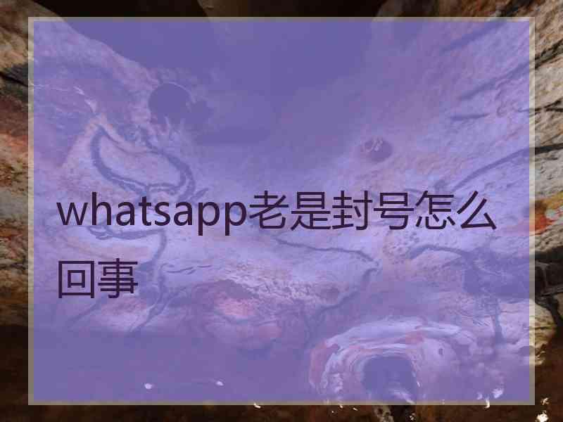 whatsapp老是封号怎么回事