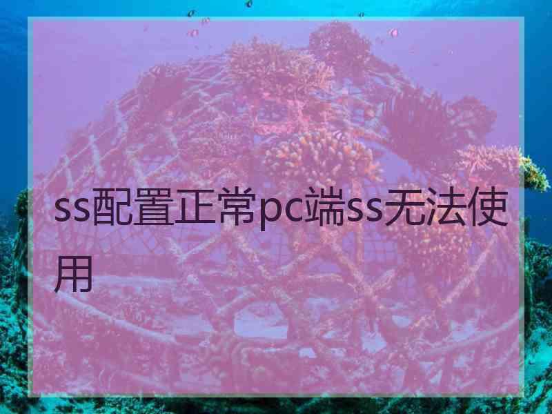 ss配置正常pc端ss无法使用