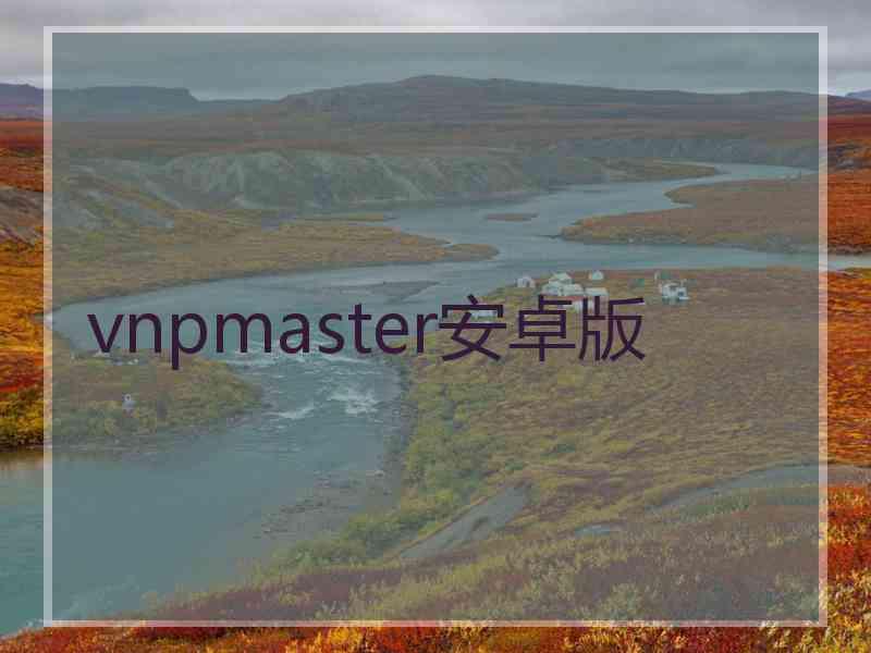 vnpmaster安卓版