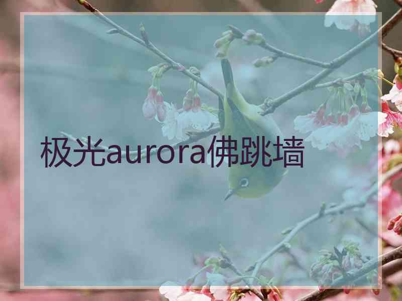 极光aurora佛跳墙