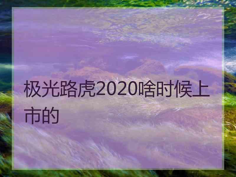 极光路虎2020啥时候上市的