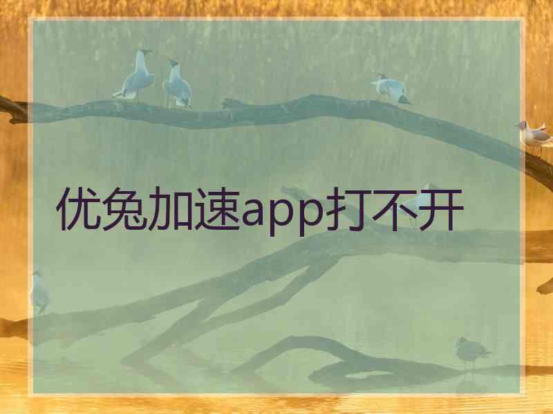 优兔加速app打不开