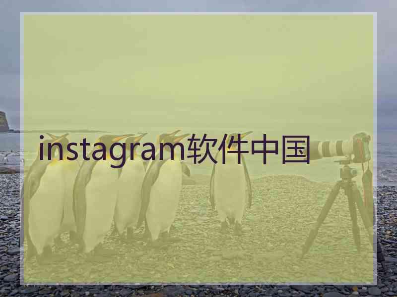 instagram软件中国