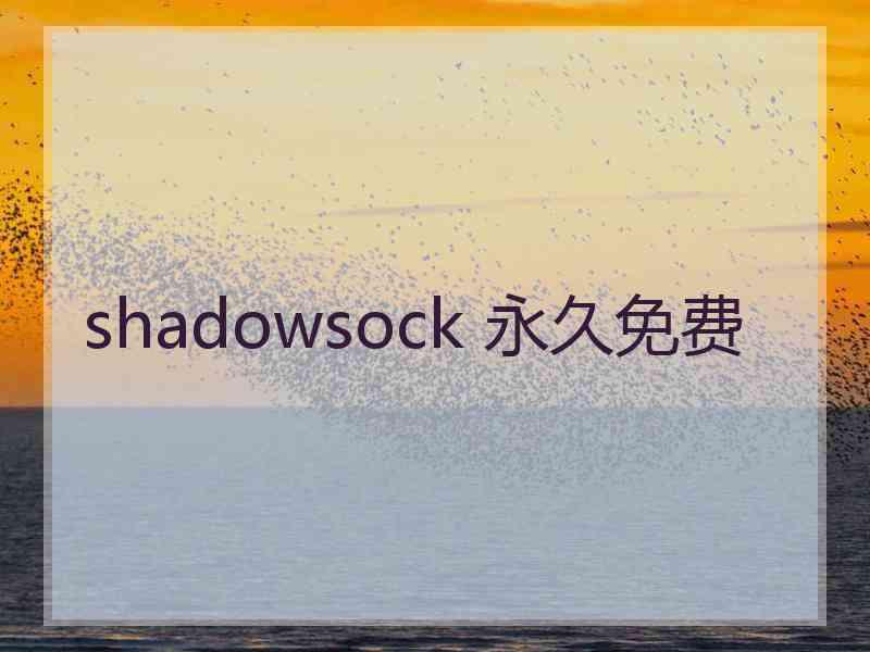 shadowsock 永久免费