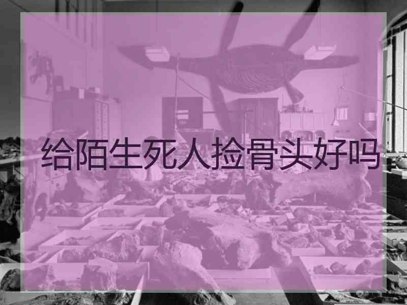 给陌生死人捡骨头好吗