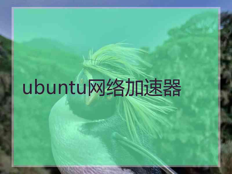 ubuntu网络加速器