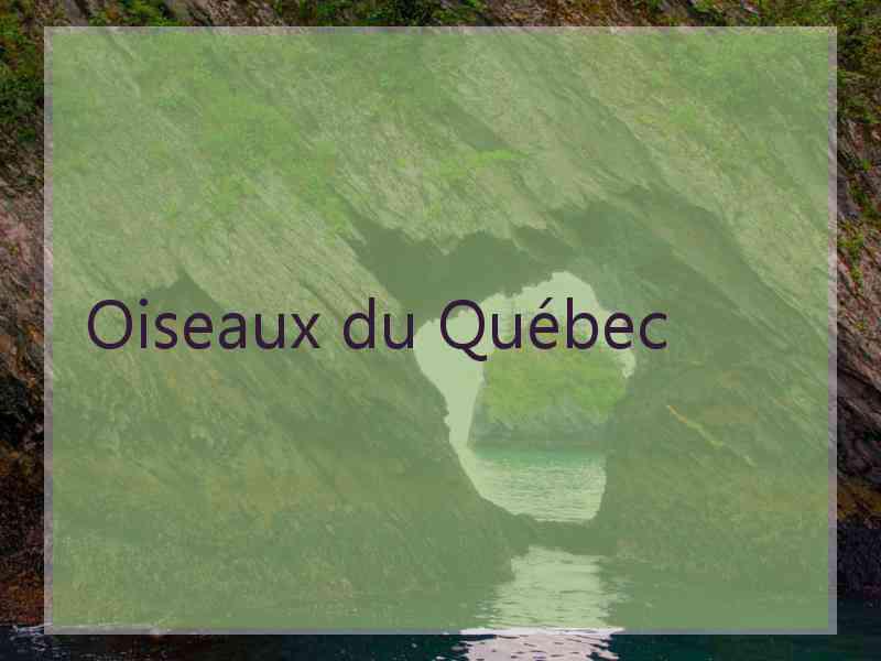 Oiseaux du Québec