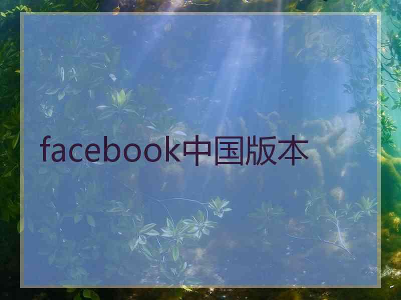 facebook中国版本