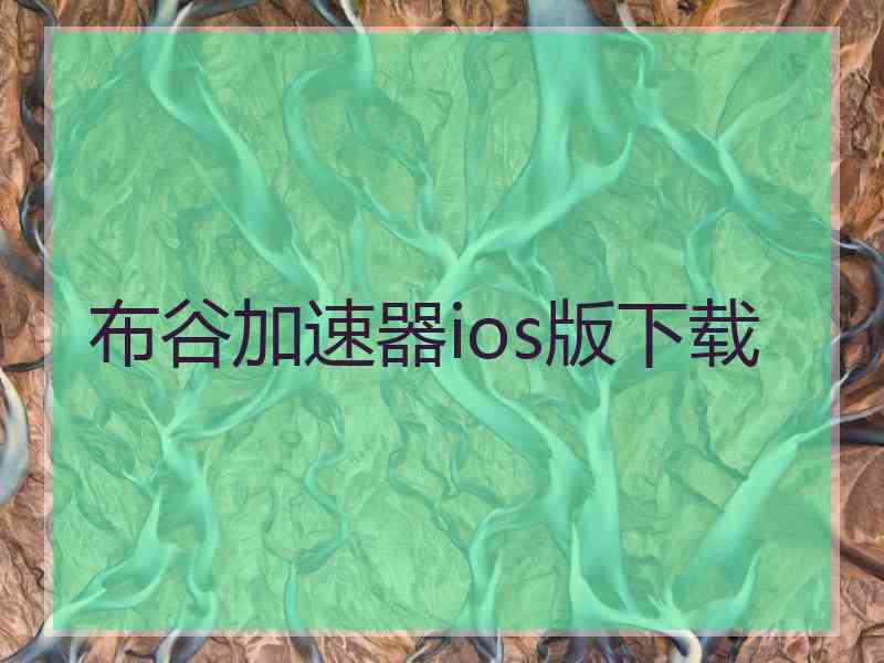 布谷加速器ios版下载