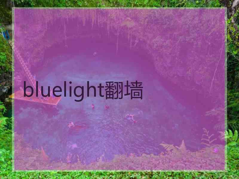 bluelight翻墙