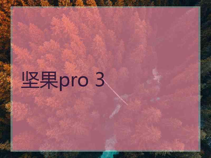 坚果pro 3