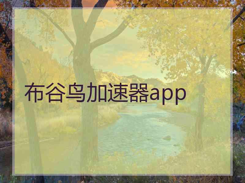 布谷鸟加速器app