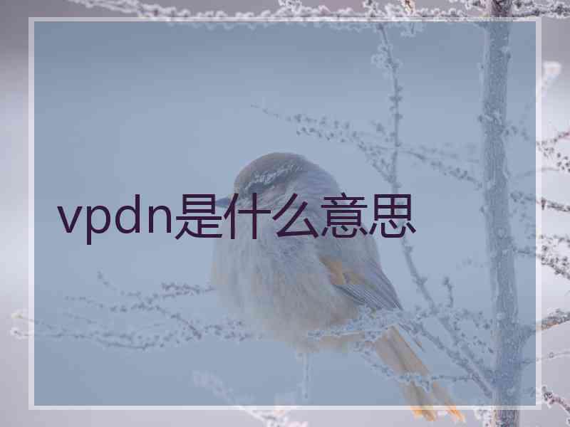 vpdn是什么意思