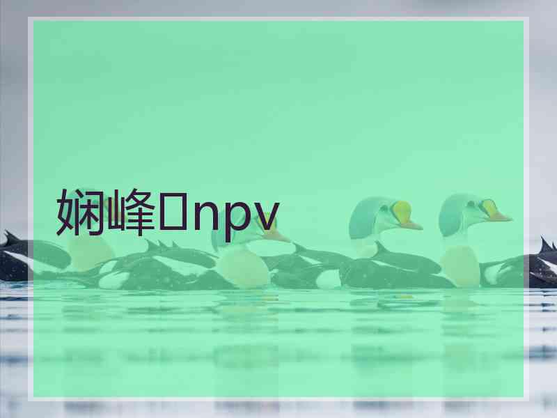 娴峰npv