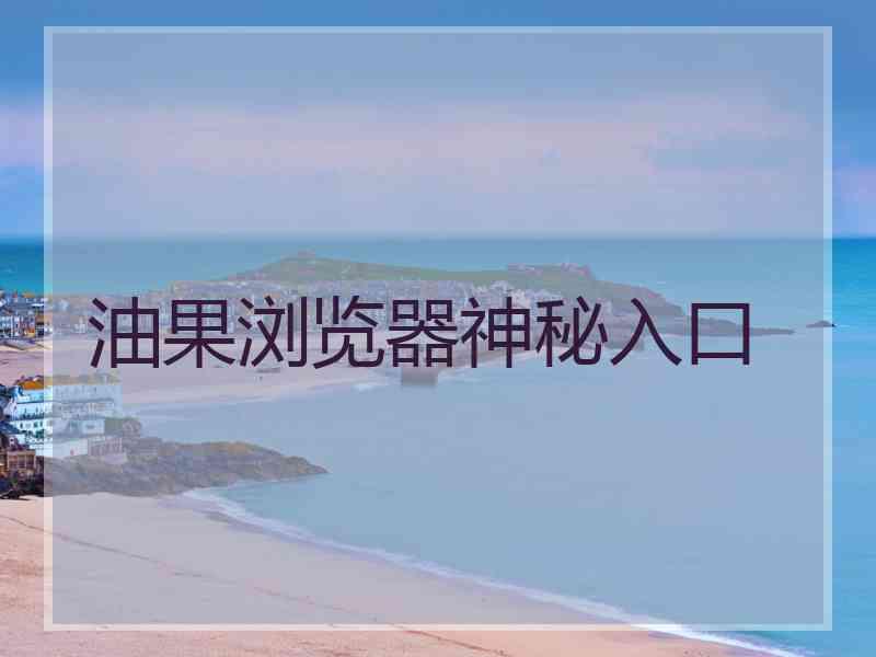 油果浏览器神秘入口