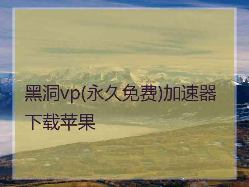 黑洞vp(永久免费)加速器下载苹果