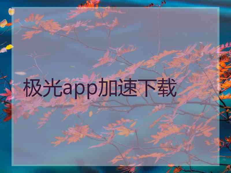 极光app加速下载