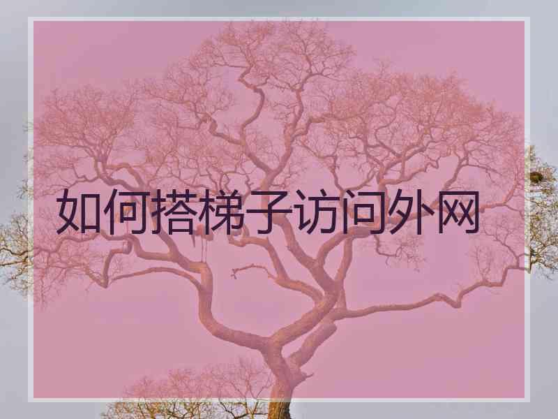 如何搭梯子访问外网