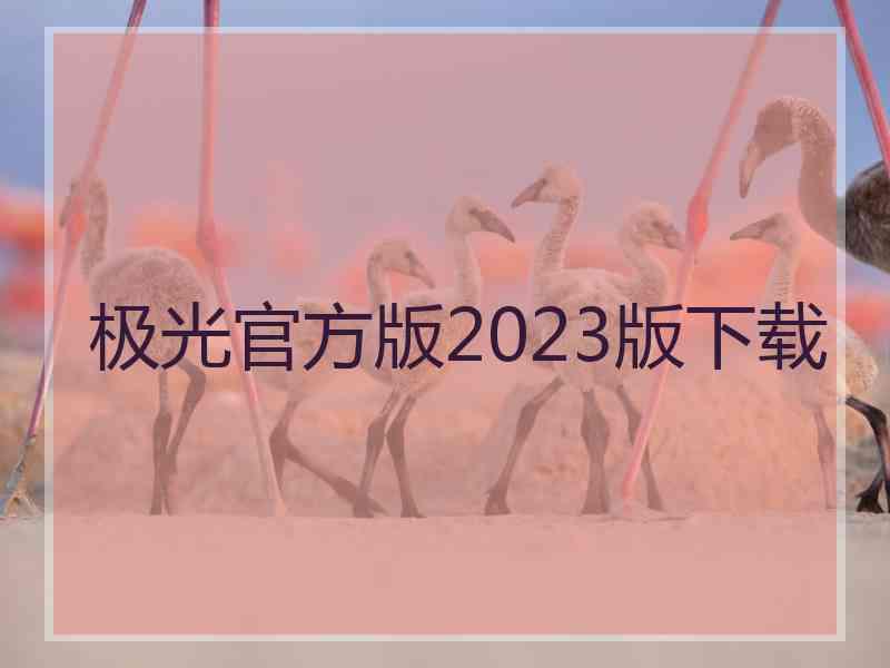 极光官方版2023版下载