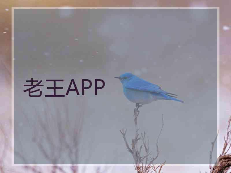 老王APP