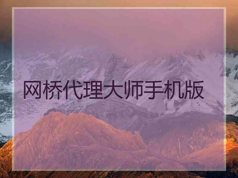 网桥代理大师手机版