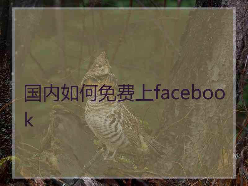 国内如何免费上facebook