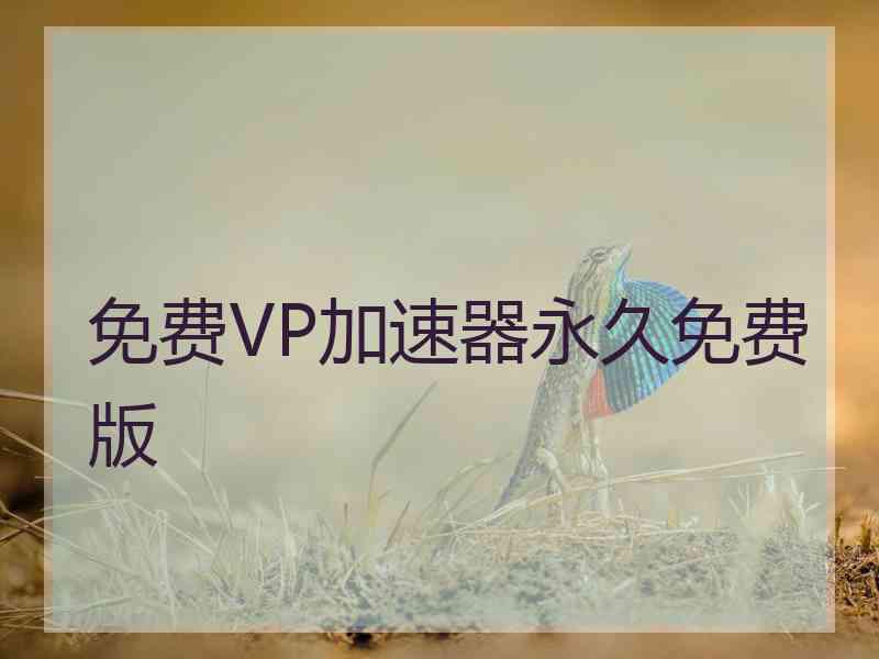 免费VP加速器永久免费版