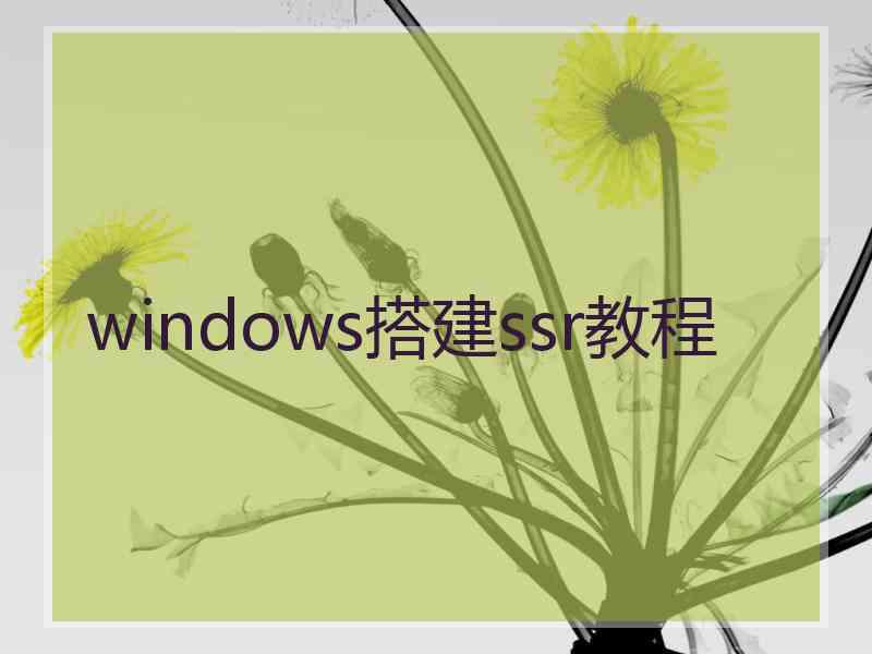 windows搭建ssr教程